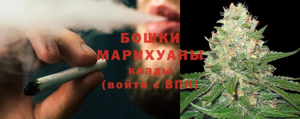 бошки Белокуриха