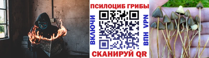 Галлюциногенные грибы ЛСД  Купить  Алупка 